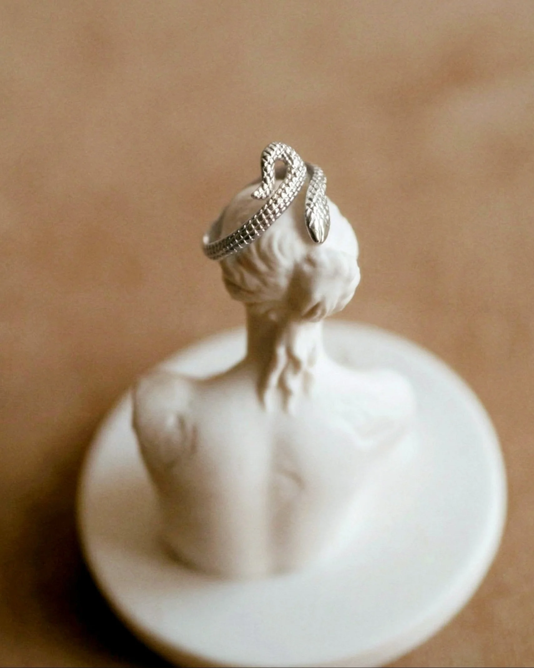 Snake Ring in Silver